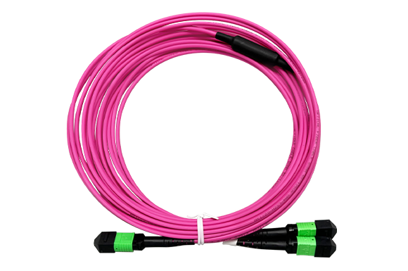 MTP / MPO Conversion Cables