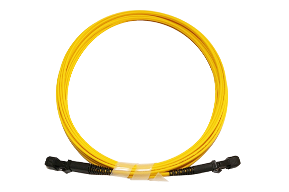MTRJ Patch Cord MTRJ Patch Cord